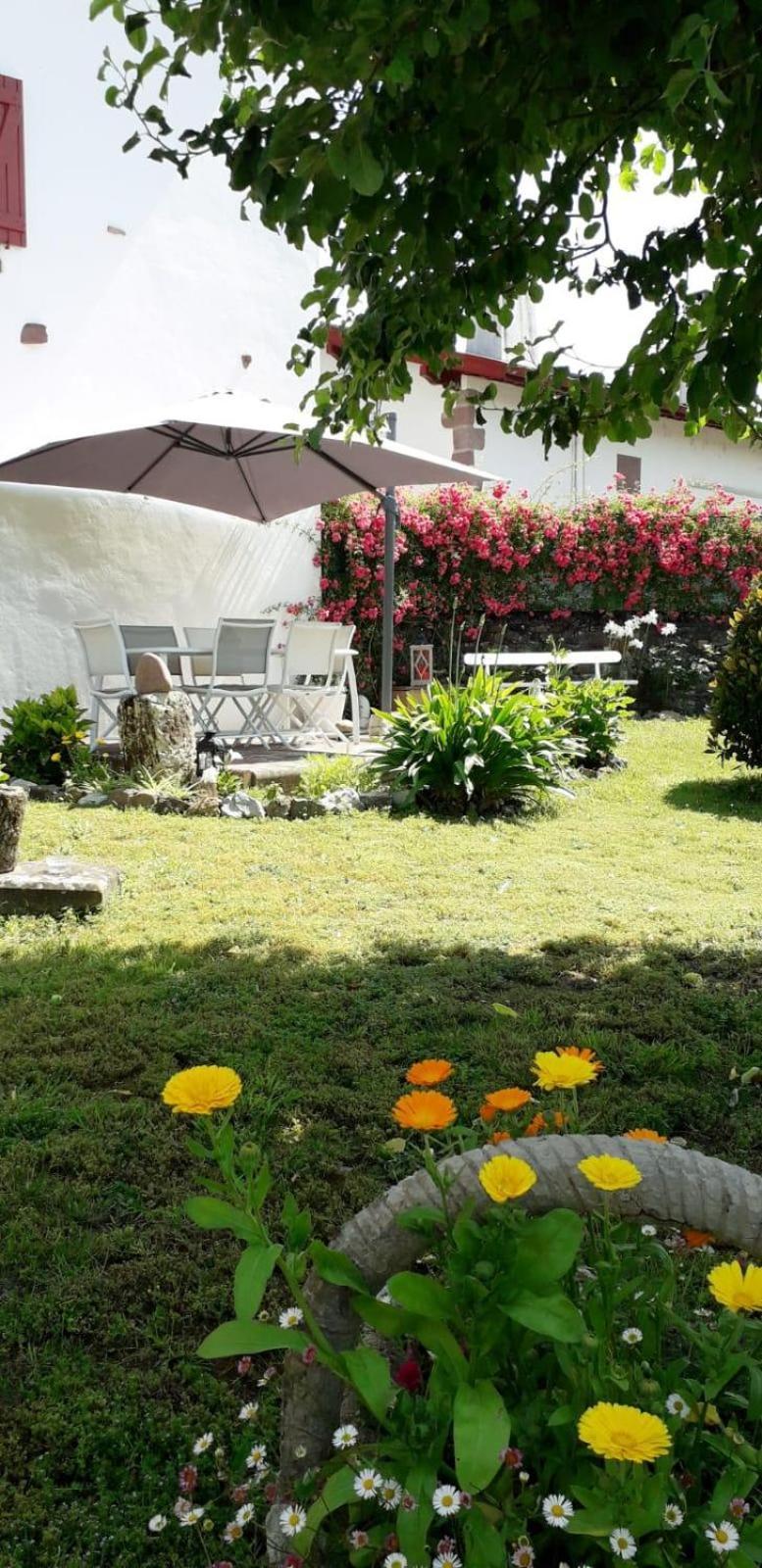 Maison Bidegain Berria Ispoure ภายนอก รูปภาพ
